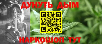 сатива Кунгур