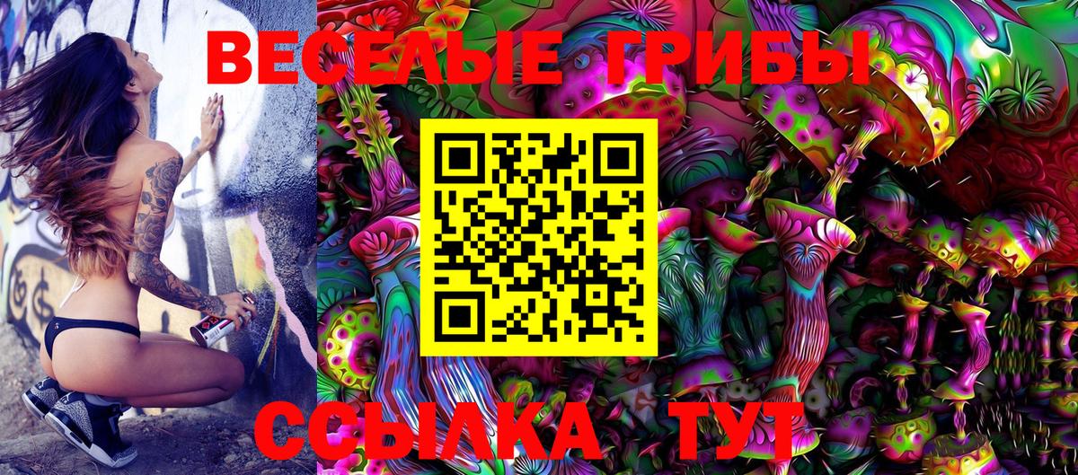 даркнет сайт  Галлюциногенные грибы Magic Shrooms  Вход с VPN  Ковров 